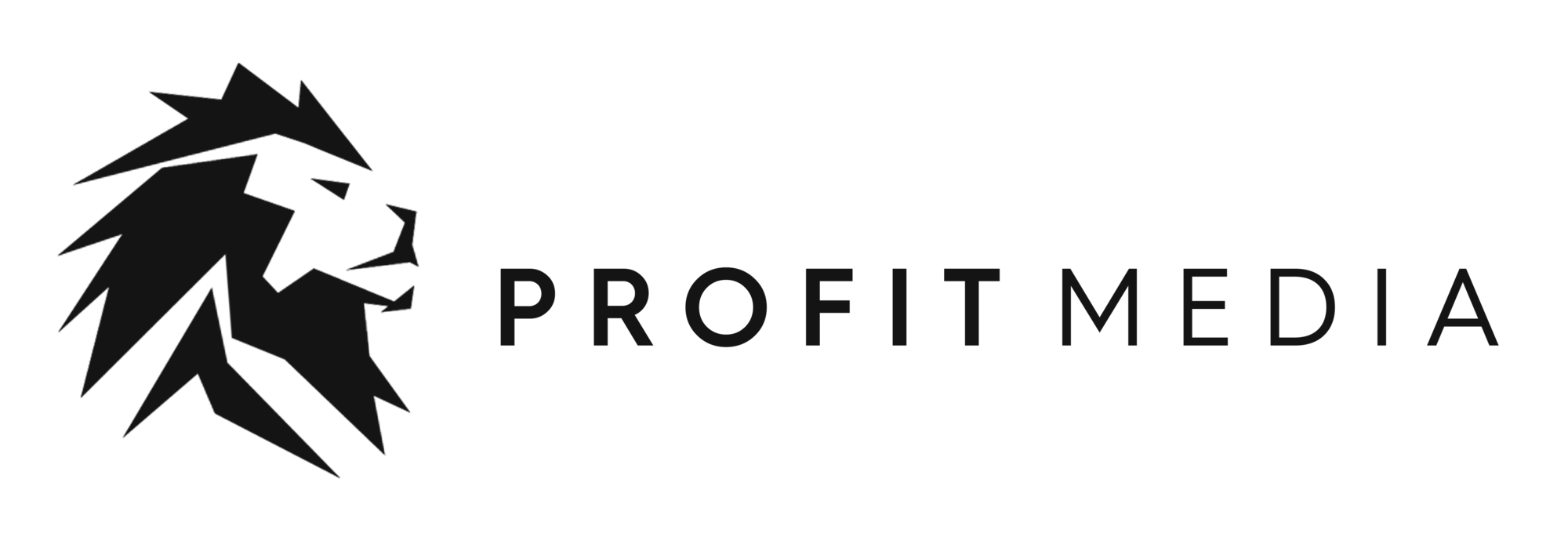 Profit Media logo